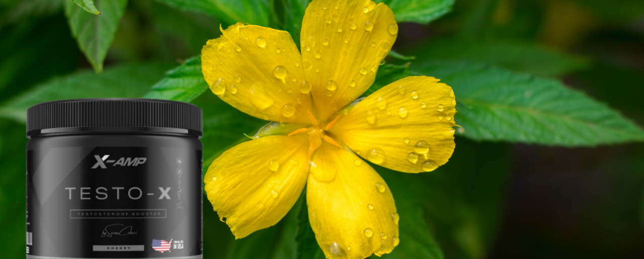 Damiana (Turnera diffusa) ve Testosteron Üzerine Etkileri