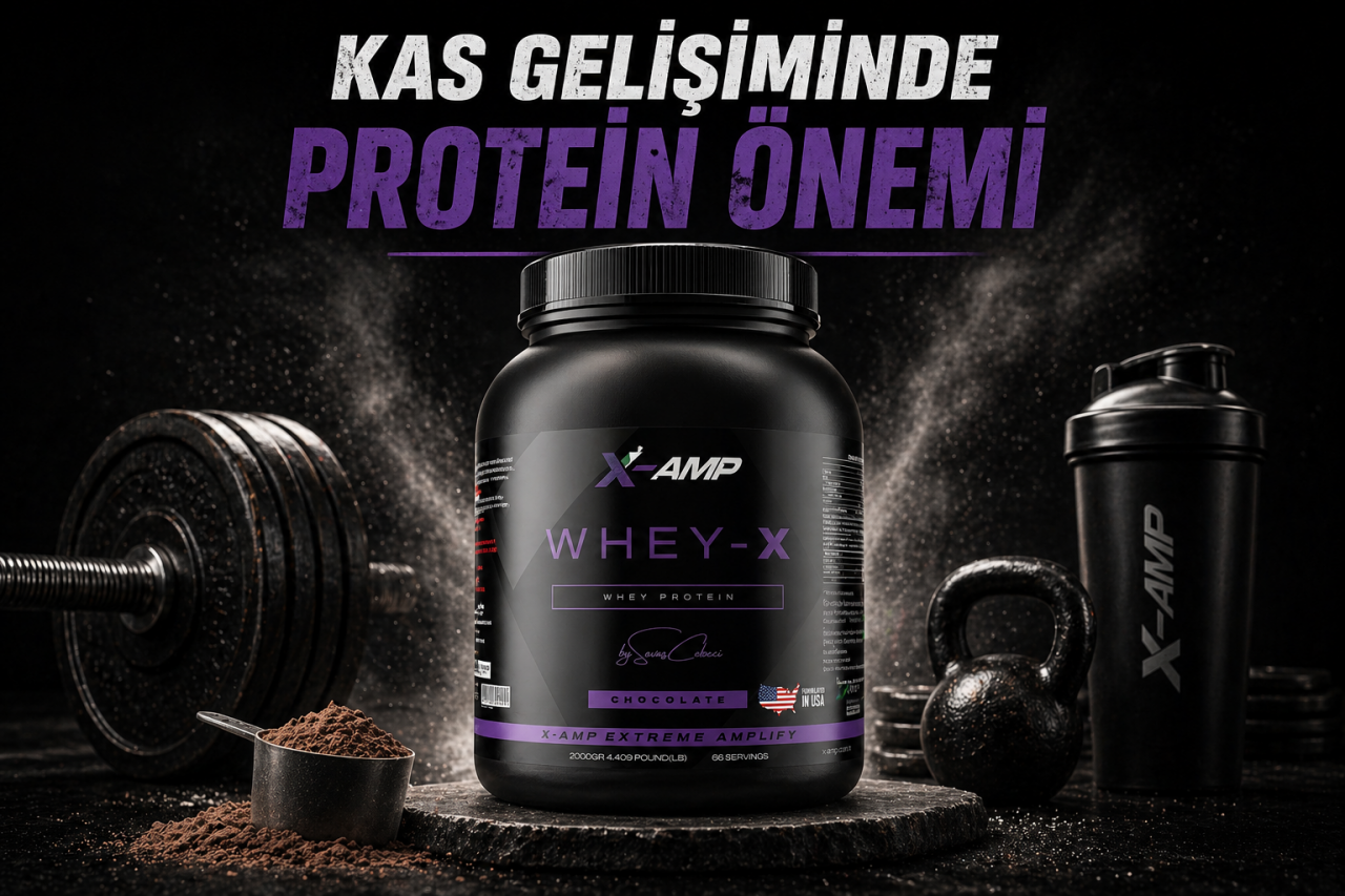 Protein Kullanımı