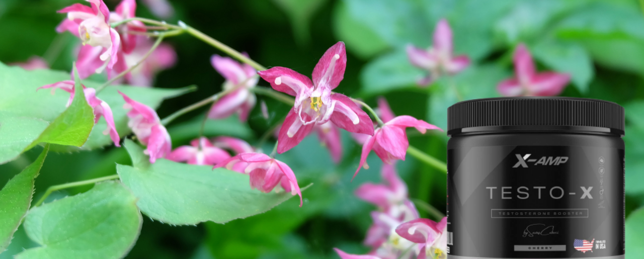 Epimedium (Azgın Teke Otu) Nedir?