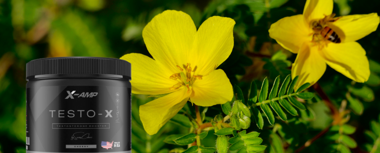 Tribulus Terrestris Nedir?