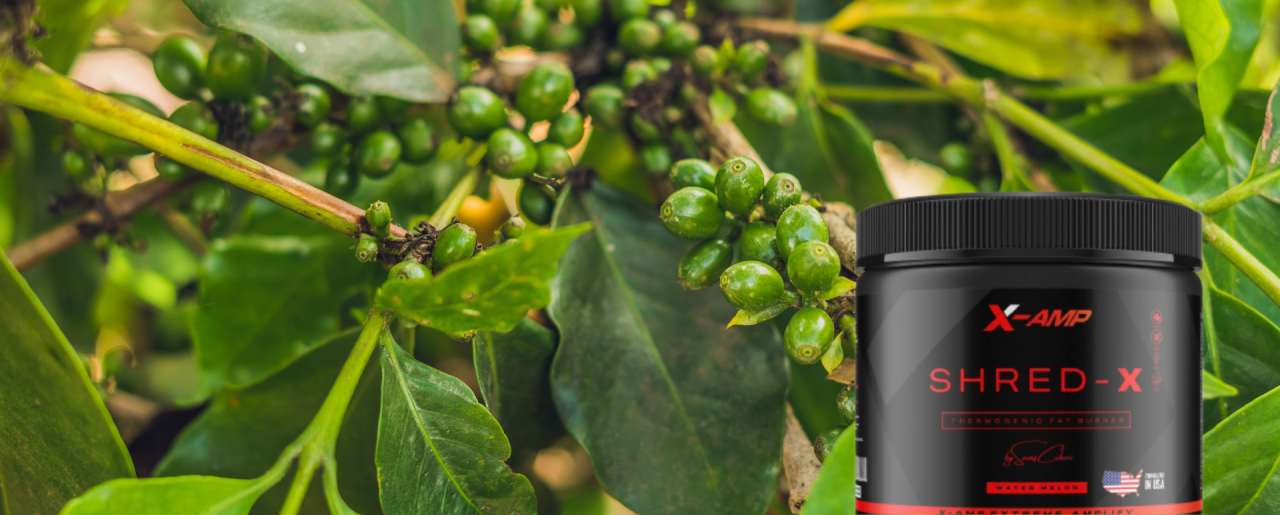 Green Coffee (Coffea Canephora) Nedir?